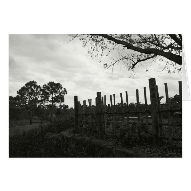 Cartão Morikami em preto e branco (Frente Horizontal)