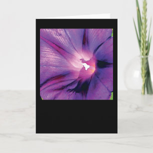 Cartão Morning Glory