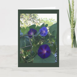 Cartão Morning Glory Kaleidoscope Blank