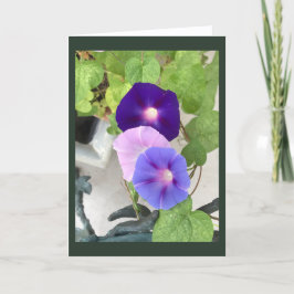 Cartão Morning Glory Trio Blank 