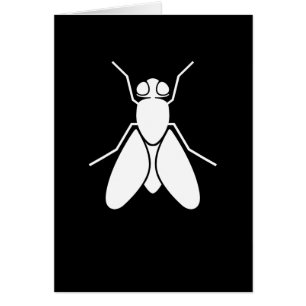 Cartão Mosca de fruta