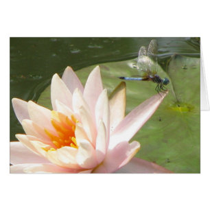 Cartão Mosca do dragão