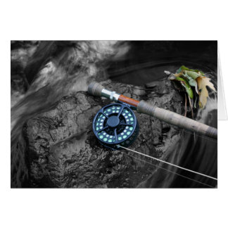 Cartão Mosca Rod BW1