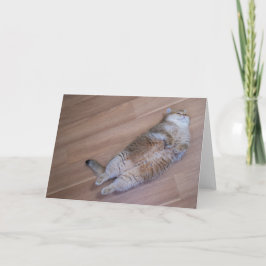 Cartão Moscas Hosico