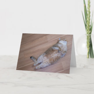 Cartão Moscas Hosico