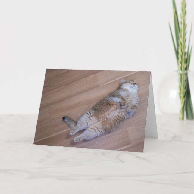 Cartão Moscas Hosico (Frente)