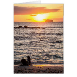 Cartão Mosquera Islet Sunset