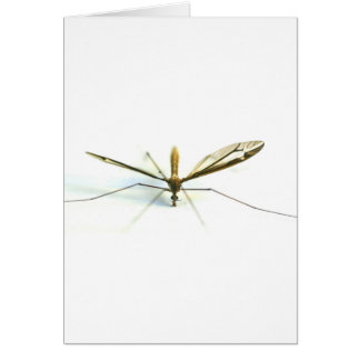 Cartão mosquito