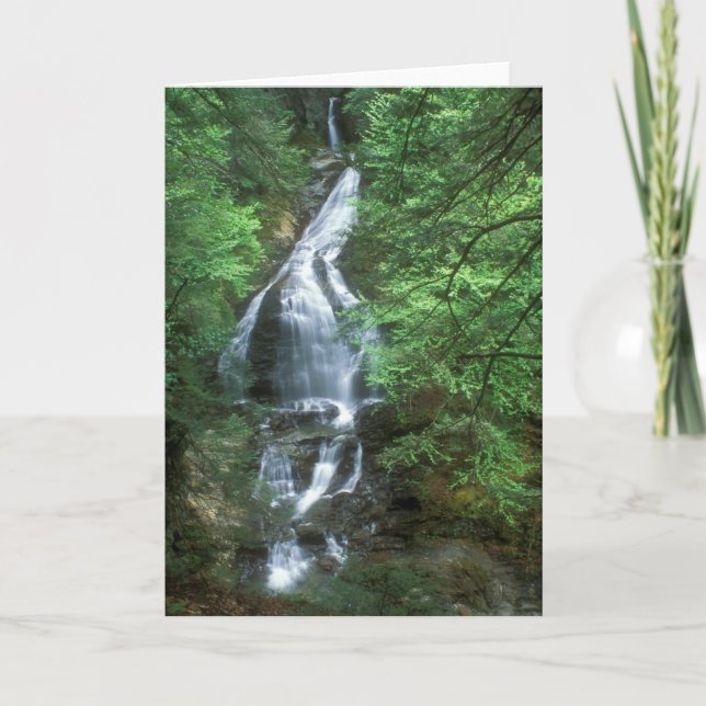 Cartão Moss Glen Falls Stowe Vermont (Frente)