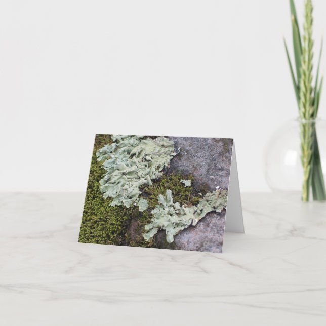 Cartão Moss & Lichen Notecard (Frente)