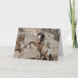 Cartão Mostangs que disparam: Galloping para a saudação d