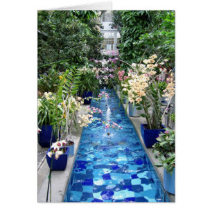 Cartão Mostra das orquídeas