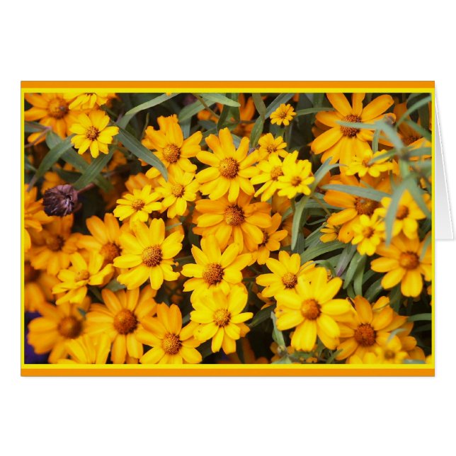 Cartão Mostra de flor ex (Frente Horizontal)