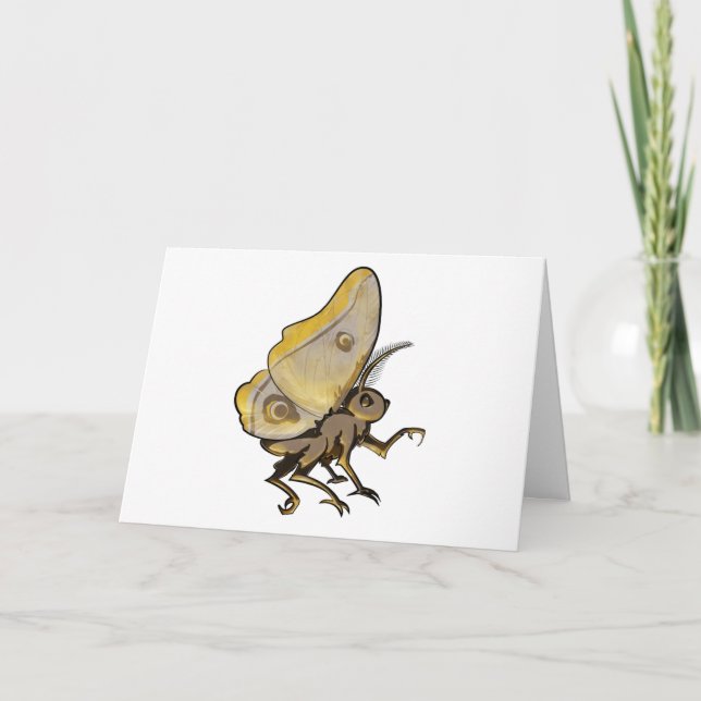 Cartão Moth (Frente)