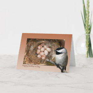 Cartão Mother's Day Chickadee