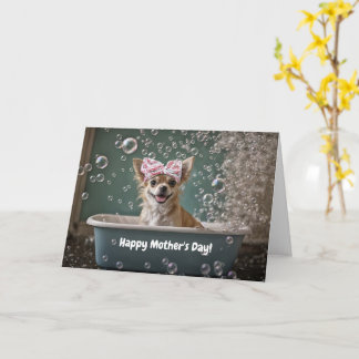 Cartão Mothers Day Cute and Funny Chihuahua Small Dog 