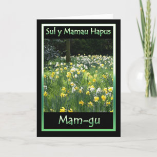 Cartão Mother's Day, Daffodil, Welsh Language Card