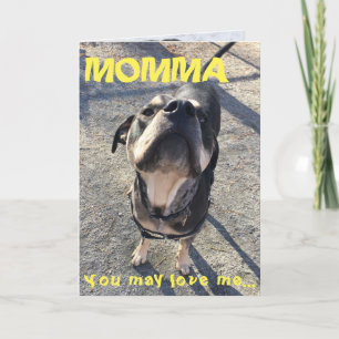 Cartão Mother's Day Licking from Dog