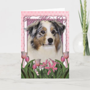 Cartão Mothers Day - Pink Tulips - Australian Shepherd