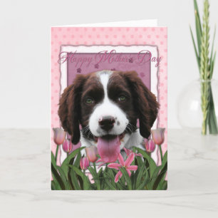 Cartão Mothers Day - Pink Tulips English Springer Spaniel