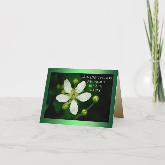 Cartão Motivos para Sorrir (Frente)