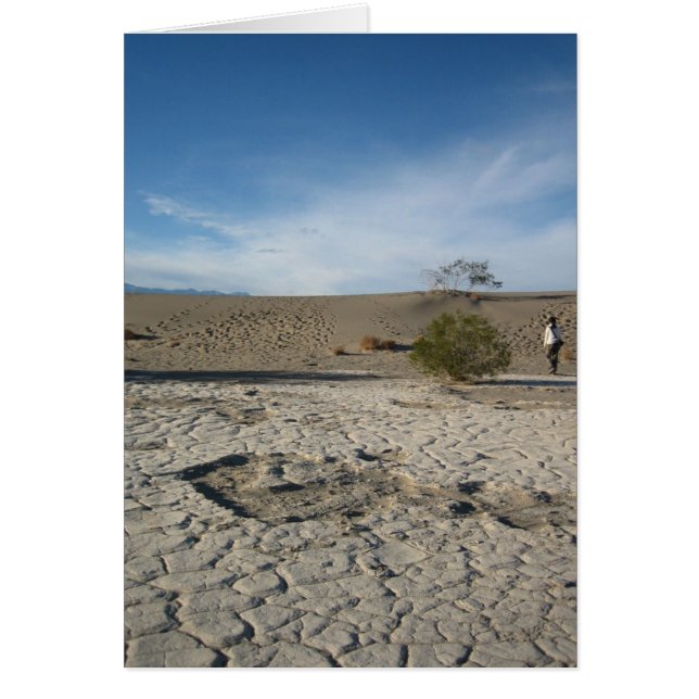 Cartão Motivos Secos (Frente)