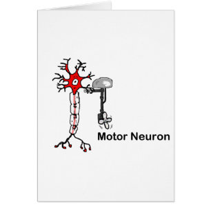 Cartão Motor Neuron