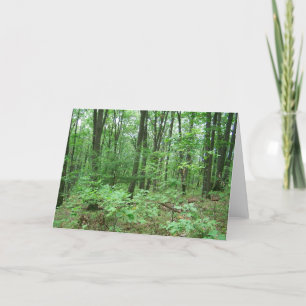 Cartão Mount Nittany Note Cards