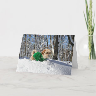 Cartão Mountain Climber Encouragement Card