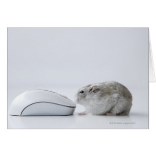 Cartão Mouse de Hamster e Computador