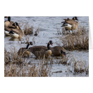 Cartão Movendo-se para Dentro