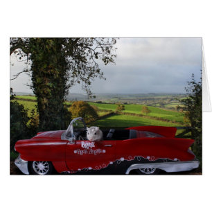 Cartão Movimentação do país