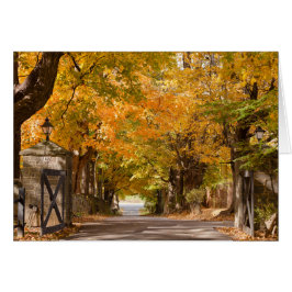 Cartão Movimentação do recurso de Allenberry