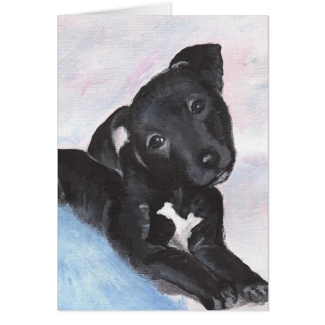 Cartão Mr.Alvie (Frente)