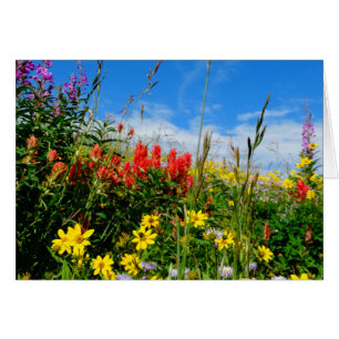 Cartão Mt. Wildflower