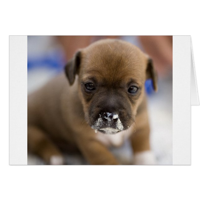 Cartão Mucky Puppy (Frente Horizontal)