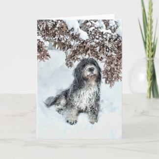 Cartão Mudança de estações