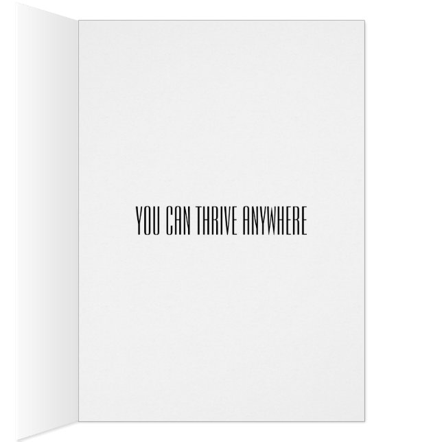 Cartão Mudança, Mudança De Emprego, Mudança De Carreiras, (Interior (direita))