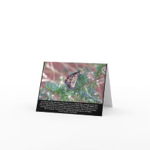 Mudanças de vida de presentes inspiracionais