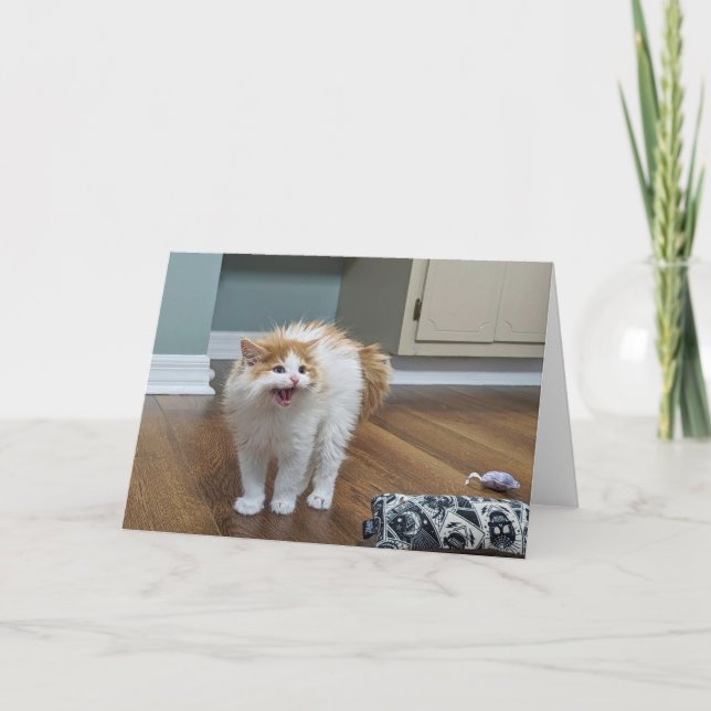 Cartão "Muito assustador" - Dewey está todo inundado (Frente)