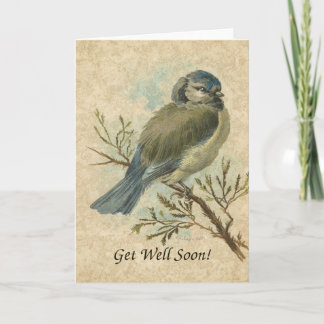 Cartão Muito Bem, Vintage Bluetit Bird