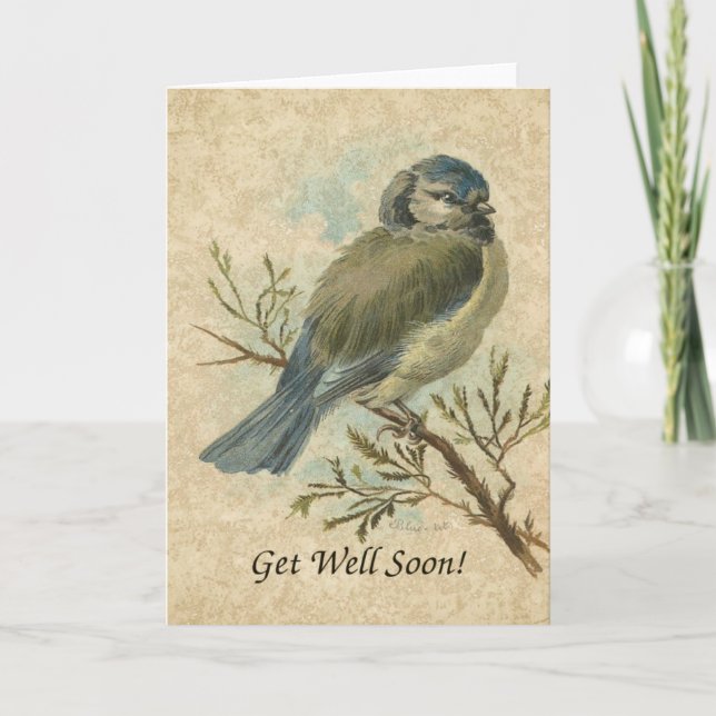 Cartão Muito Bem, Vintage Bluetit Bird (Frente)