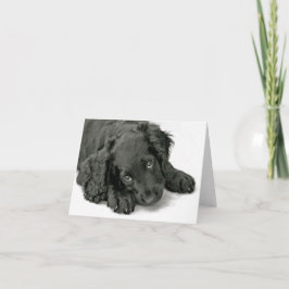 Cartão Muito Bonito