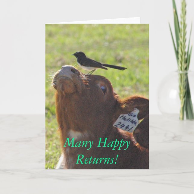 Cartão Muitos retornos felizes! (Frente)