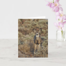 Cartão Muley in the Sage - 4" x 5.6" Notecard