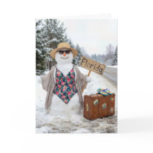 Mulher de Neve de Parar Carros no Aniversário com 