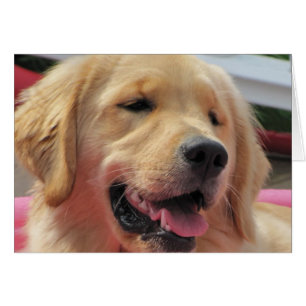 Cartão Multa de Feelin