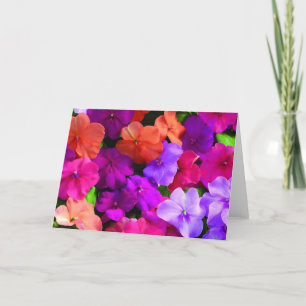 Cartão Multi Color Flowers Card - blank