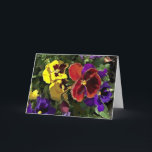Cartão Multi Pansies coloridos<br><div class="desc">Multi pansies coloridos</div>