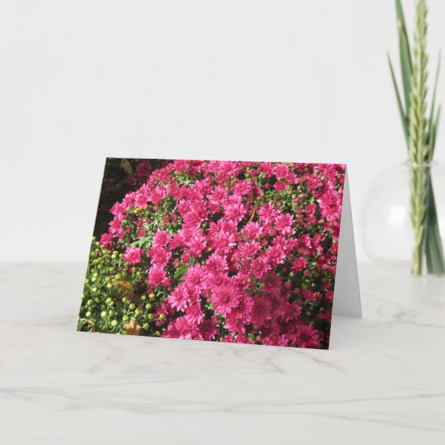 Cartão Mums Rosa Escuro (Frente)